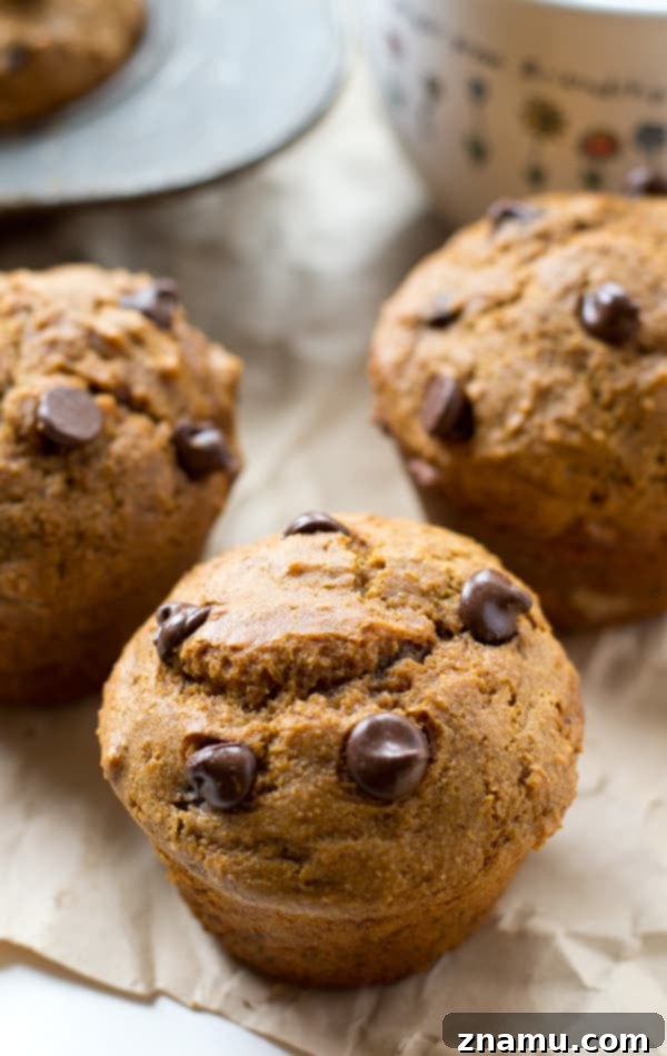 Cozy Gingerbread Chocolate Chip Muffins 4 Basket of freshly baked gingerbread muffins with visible chocolate chips, ready to be enjoyed.