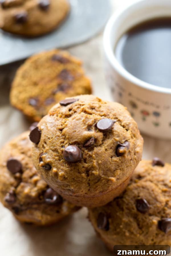 Cozy Gingerbread Chocolate Chip Muffins 5 Stack of gingerbread chocolate chip muffins on a cooling rack, highlighting their golden-brown tops.