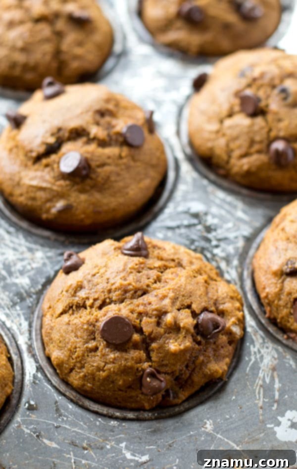 Cozy Gingerbread Chocolate Chip Muffins 6 Assortment of gingerbread chocolate chip muffins on a wooden board, emphasizing their rustic appeal.