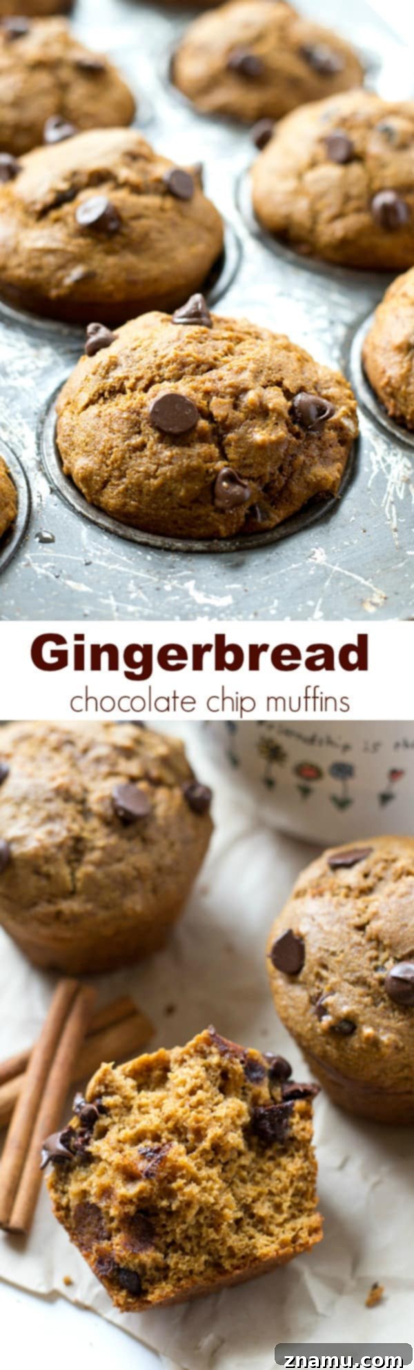 Cozy Gingerbread Chocolate Chip Muffins 8 A close-up shot of a gingerbread chocolate chip muffin, revealing its soft interior and melted chocolate.