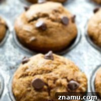 Cozy Gingerbread Chocolate Chip Muffins 9 Gingerbread Chocolate Chip Muffins
