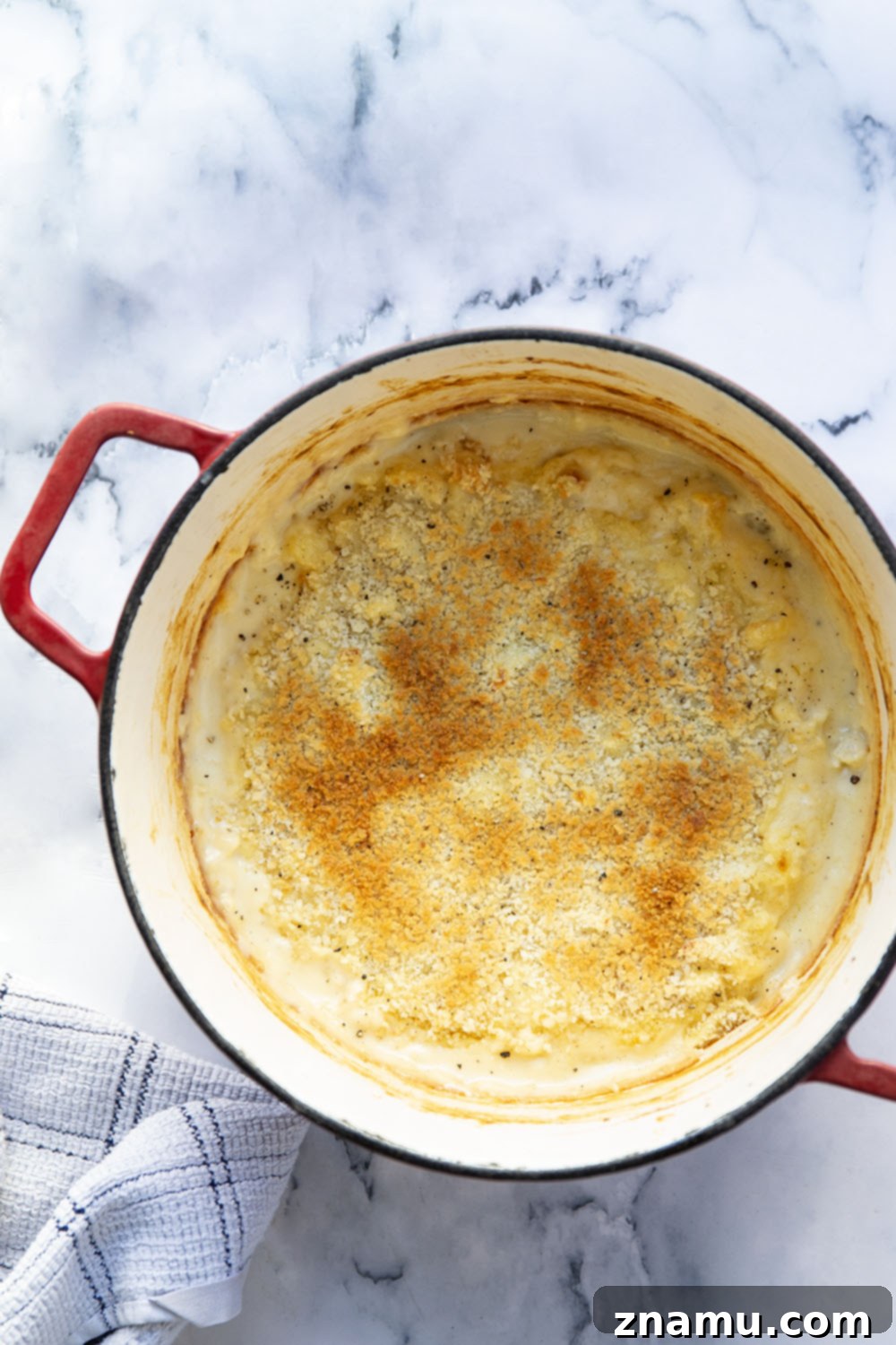 Creamy Cauliflower Mac 4 A close-up of the gooey cheese sauce embracing roasted cauliflower florets.
