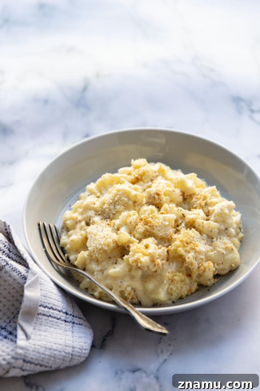 Creamy Cauliflower Mac 6 A serving of cauliflower mac and cheese, showcasing its rich, creamy texture and crispy topping.