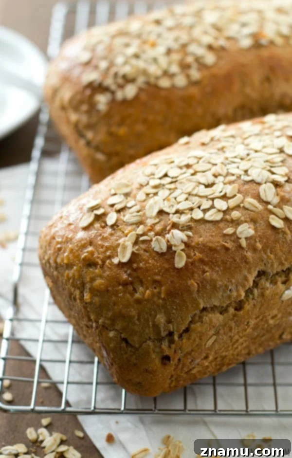 Hearty Homemade Multi-Grain Sandwich Loaf 3 Homemade multi-grain bread slices with a rich, seedy texture