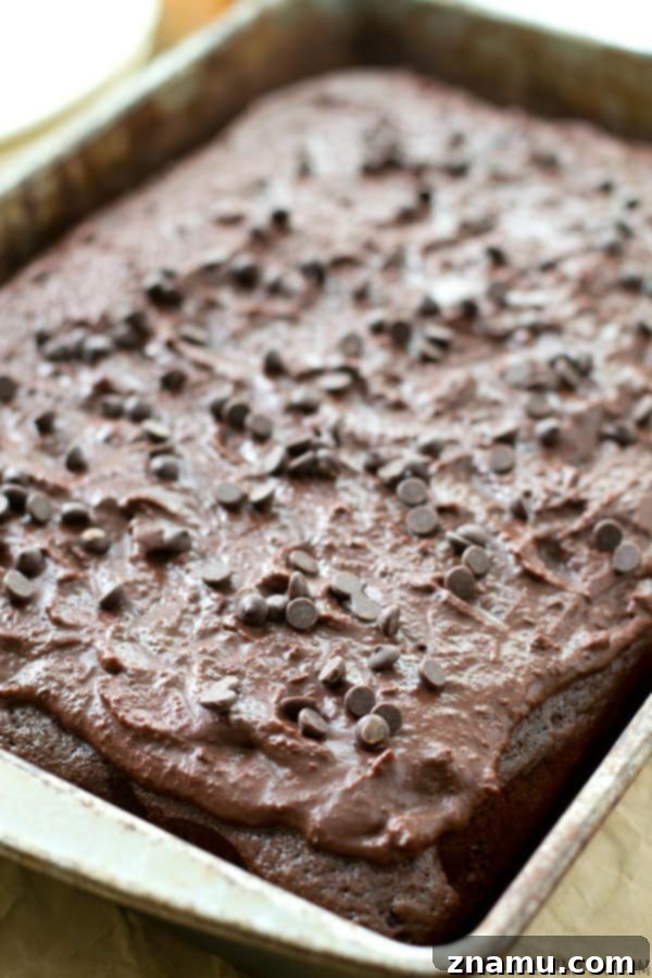 Decadent Birthday Chocolate Sheet Cake 3 Rich chocolate sheet cake with creamy ganache frosting, a family favorite for birthdays and celebrations. Simple, moist, and utterly delicious.