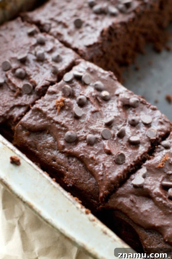 Decadent Birthday Chocolate Sheet Cake 8 Delicious birthday chocolate sheet cake recipe with simple ingredients and straightforward instructions for a perfect dessert.