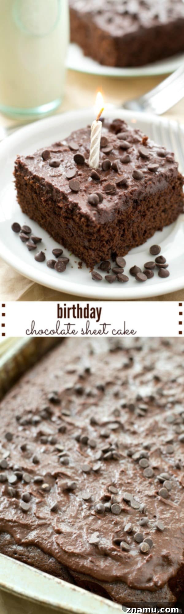 Decadent Birthday Chocolate Sheet Cake 10 Chocolate sheet cake recipe, a delightful dessert for any celebration, featuring easy preparation and a perfectly moist, fudgy texture.