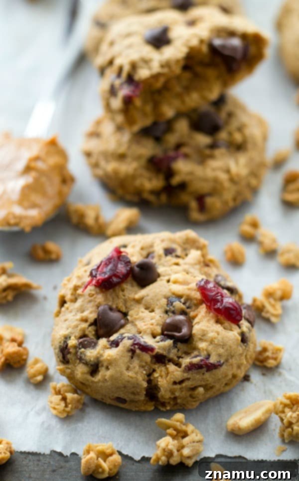 Sunrise Peanut Butter Granola Bites 3 Close-up of a soft, chewy peanut butter granola breakfast cookie with chocolate chips and dried cranberries.