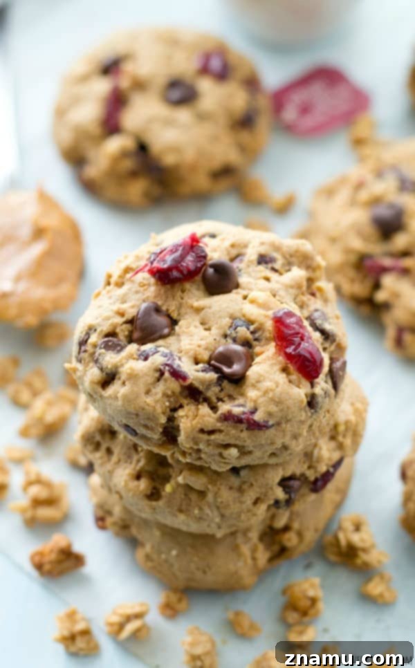 Sunrise Peanut Butter Granola Bites 4 Freshly baked peanut butter granola breakfast cookies cooling on a wire rack.