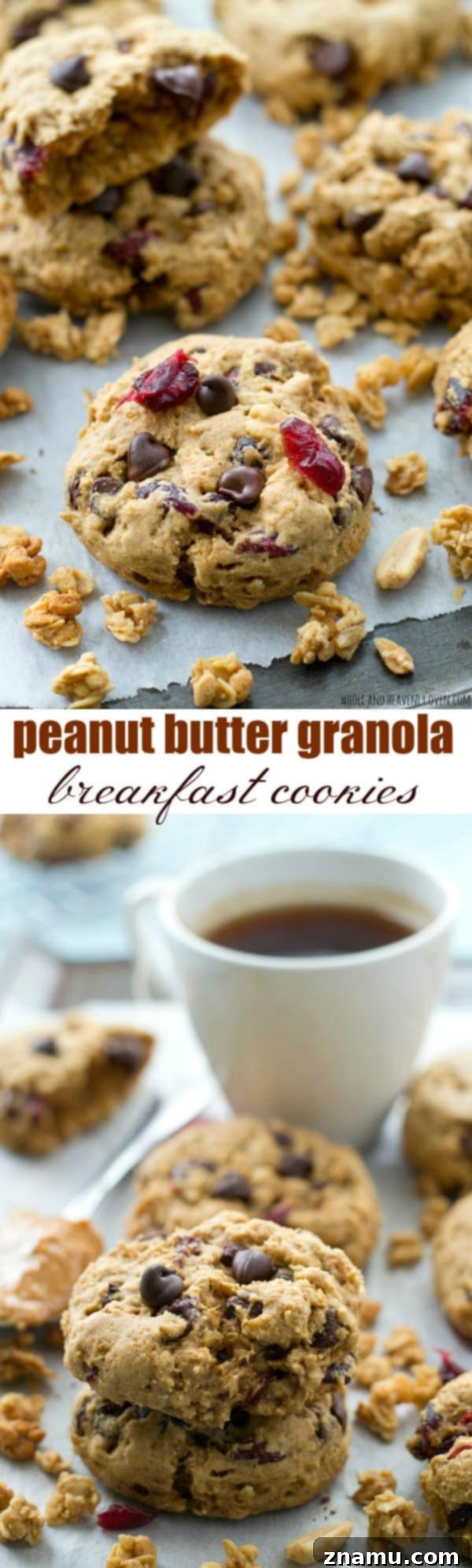 Sunrise Peanut Butter Granola Bites 7 A vibrant close-up of a peanut butter granola breakfast cookie showing its texture and inclusions.
