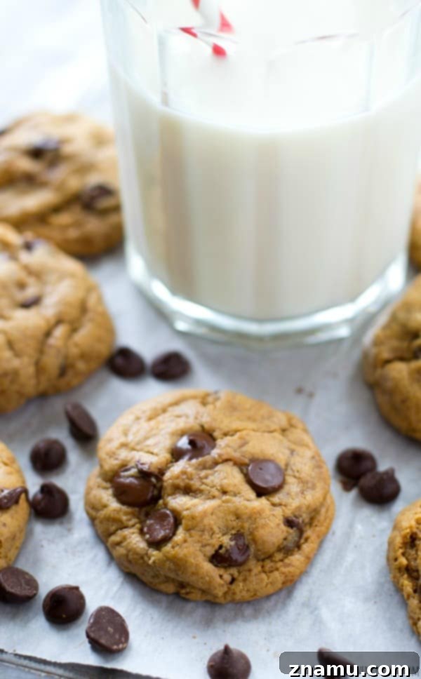 The soft, chewy texture and rich chocolate flavor of these flourless cookies truly impressed, making them a top contender for the best chocolate chip cookies.