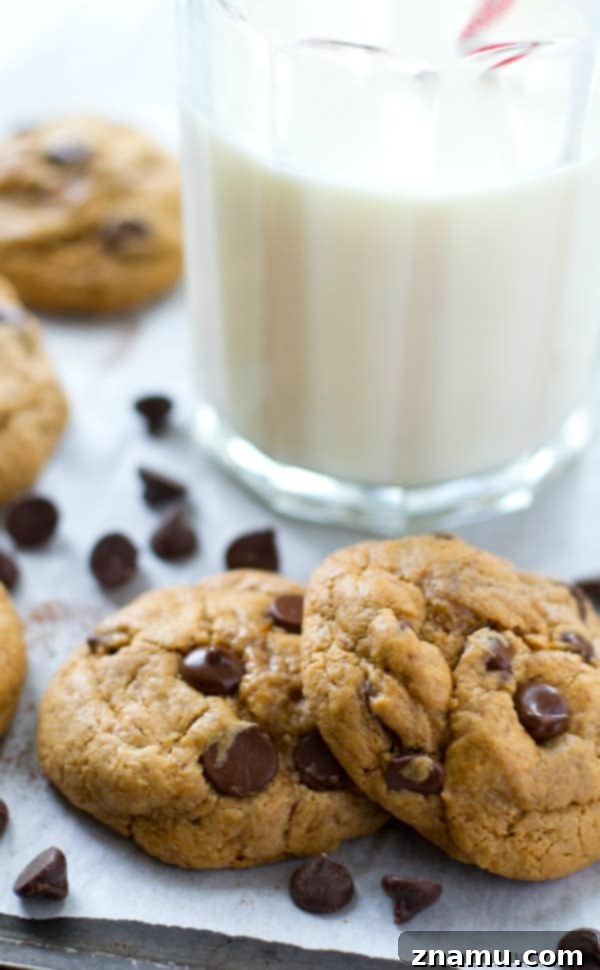 Indulge in a stack of these addictive flourless cashew butter chocolate chip cookies, perfect for any time of day.