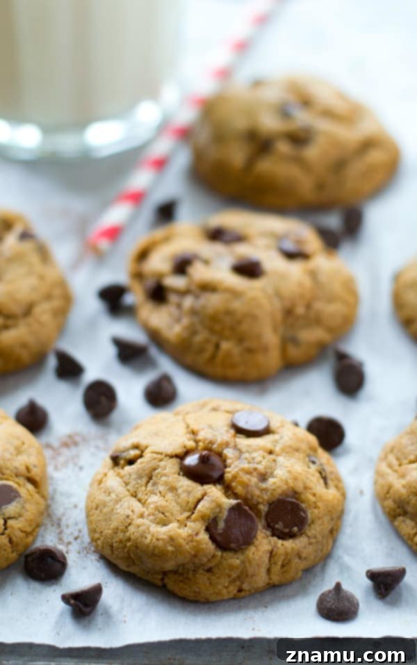 Simple ingredients for flourless cashew butter chocolate chip cookies, highlighting the creamy cashew butter and rich chocolate chips.