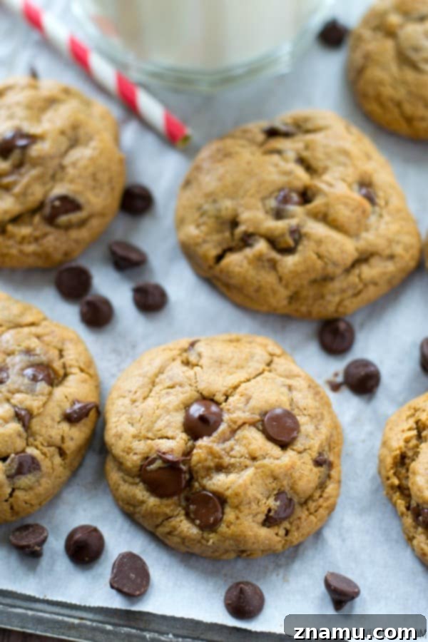Enjoy warm, freshly baked flourless cashew butter chocolate chip cookies with a glass of milk.