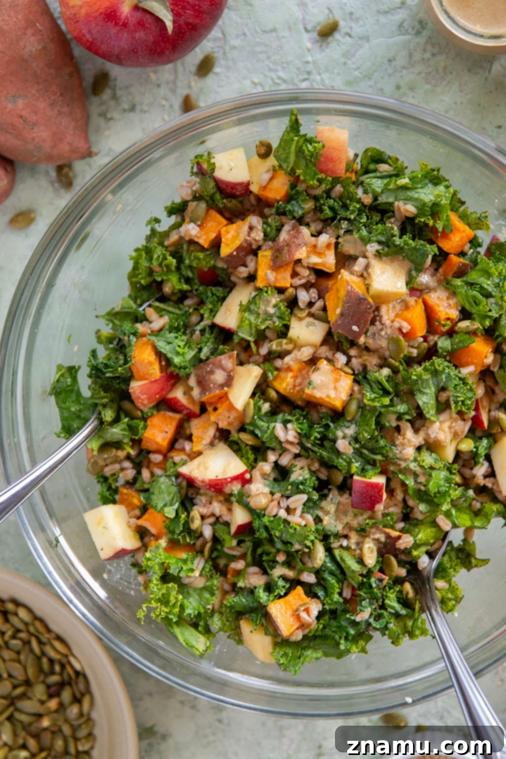 Golden Roasted Sweet Potato Farro Salad with Savory Sesame Drizzle 4 An overhead shot of a prepared Sweet Potato Farro Salad in a white bowl, ready to be dressed, featuring distinct layers of roasted sweet potatoes, cooked farro, fresh kale, and green pepitas.