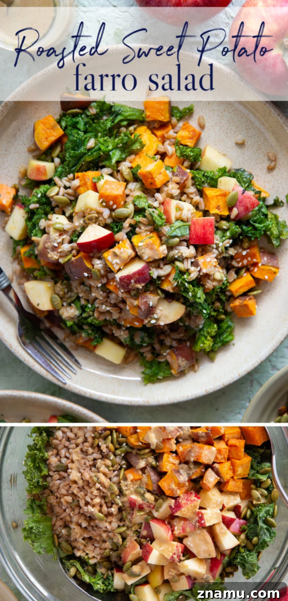 Golden Roasted Sweet Potato Farro Salad with Savory Sesame Drizzle 7 A final, close-up vertical shot of the Roasted Sweet Potato Farro Salad, emphasizing the vibrant colors and appealing textures of all the ingredients mingled together with the sesame dressing.