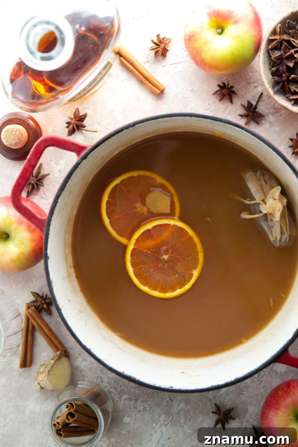 Chai-Spiced Apple Cider 3 Close-up of Chai Mulled Apple Cider showing the rich color and spice blend.