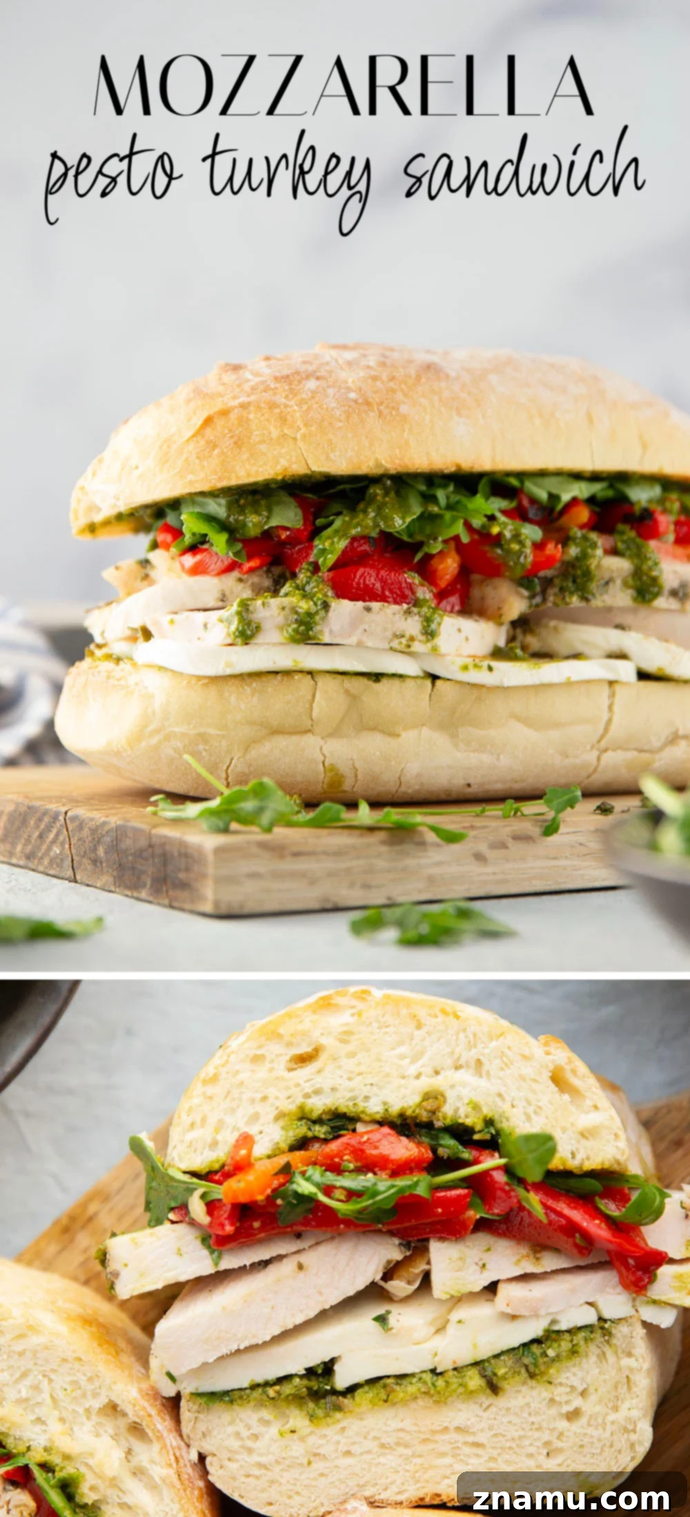 Mozzarella, Turkey & Pesto Panini 7 Final Shot of Turkey Pesto Sandwich