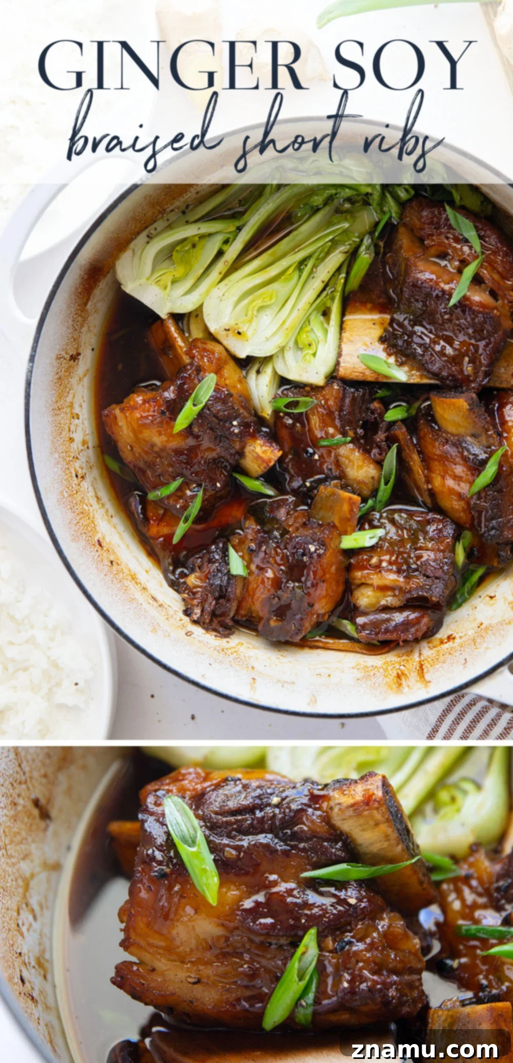 Ginger-Soy Infused Short Ribs 7 Close-up of delicious Ginger Soy Braised Short Ribs
