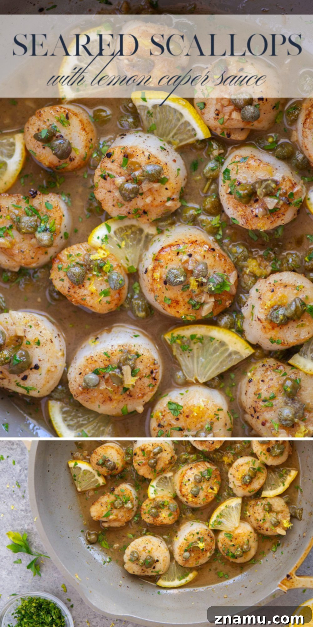 Lemon-Kissed Scallops with Caper Burst 7 Close-up of Seared Scallops