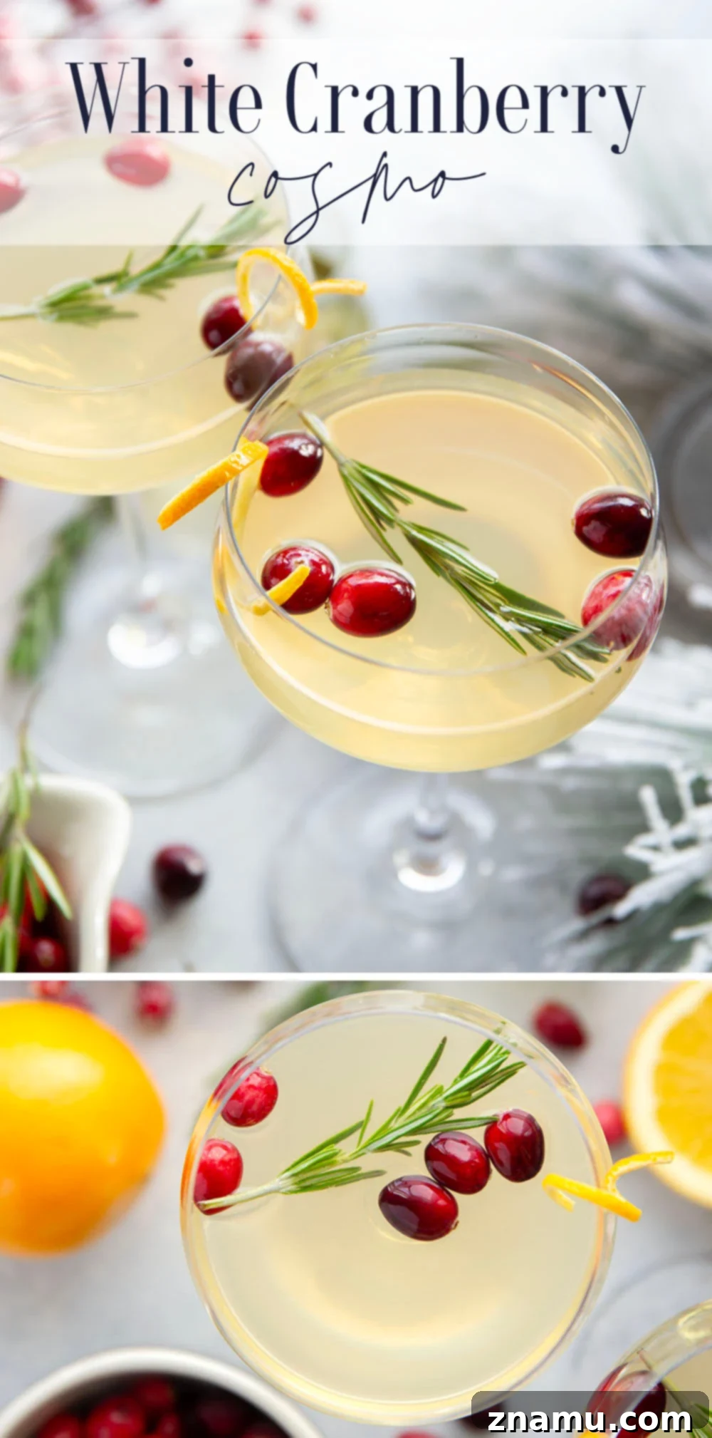 White Cranberry Cosmo Cocktail 7 Close-up of a Delicious White Cranberry Cosmo