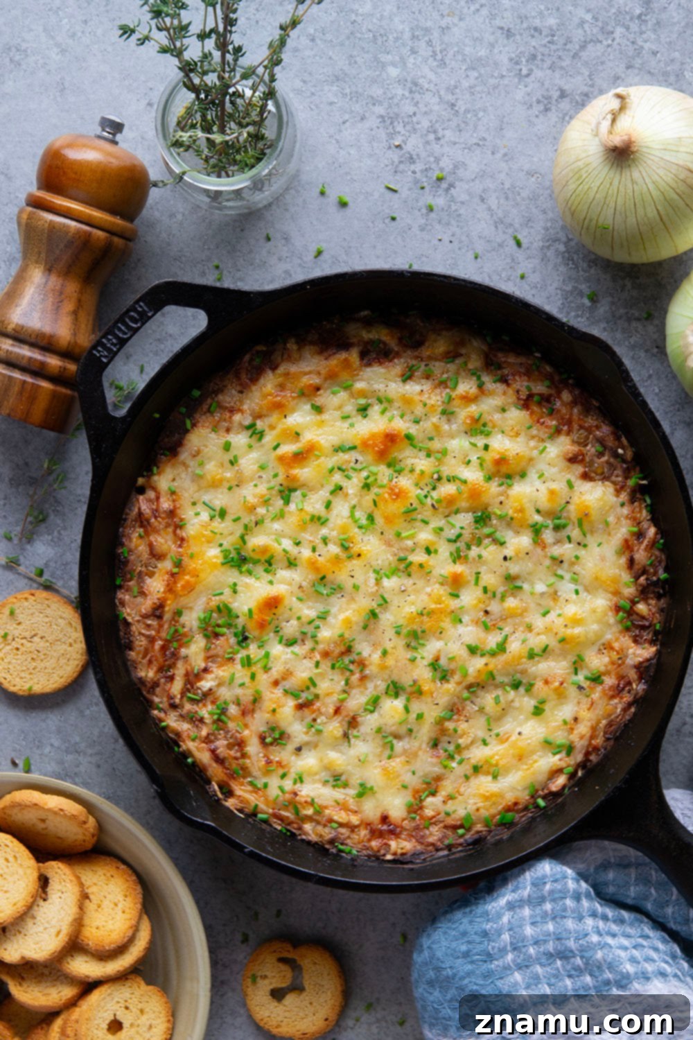 Caramelized Onion and Chickpea Delight 3 Hot and Cheesy Chickpea Dip