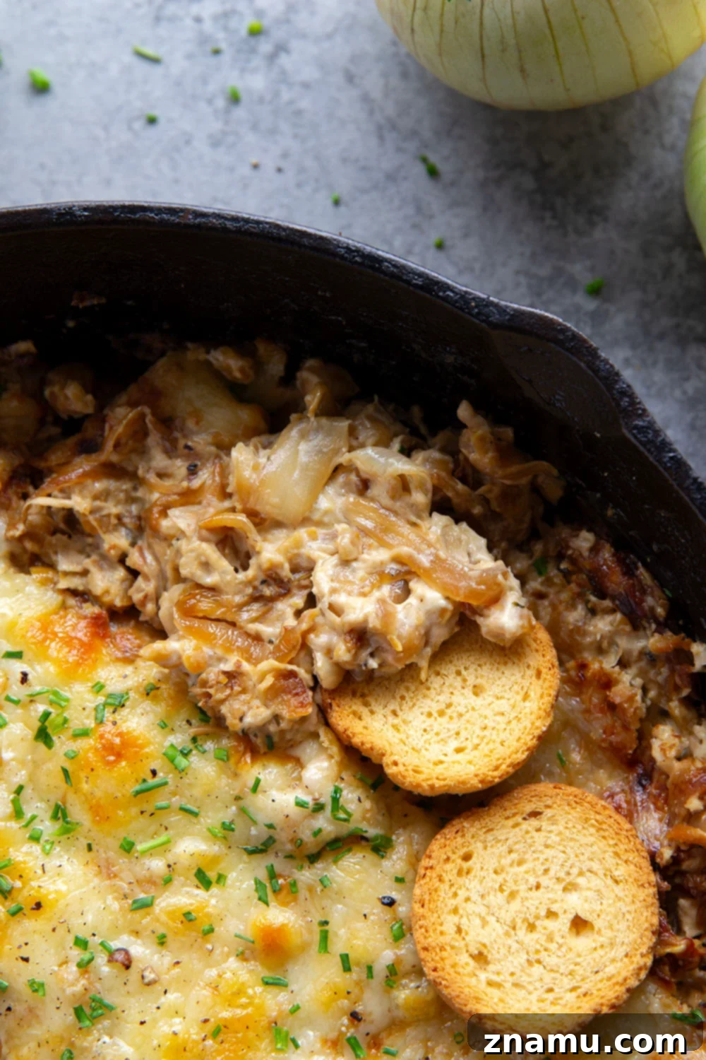 Caramelized Onion and Chickpea Delight 4 Caramelized Onion and Chickpea Cheese Dip