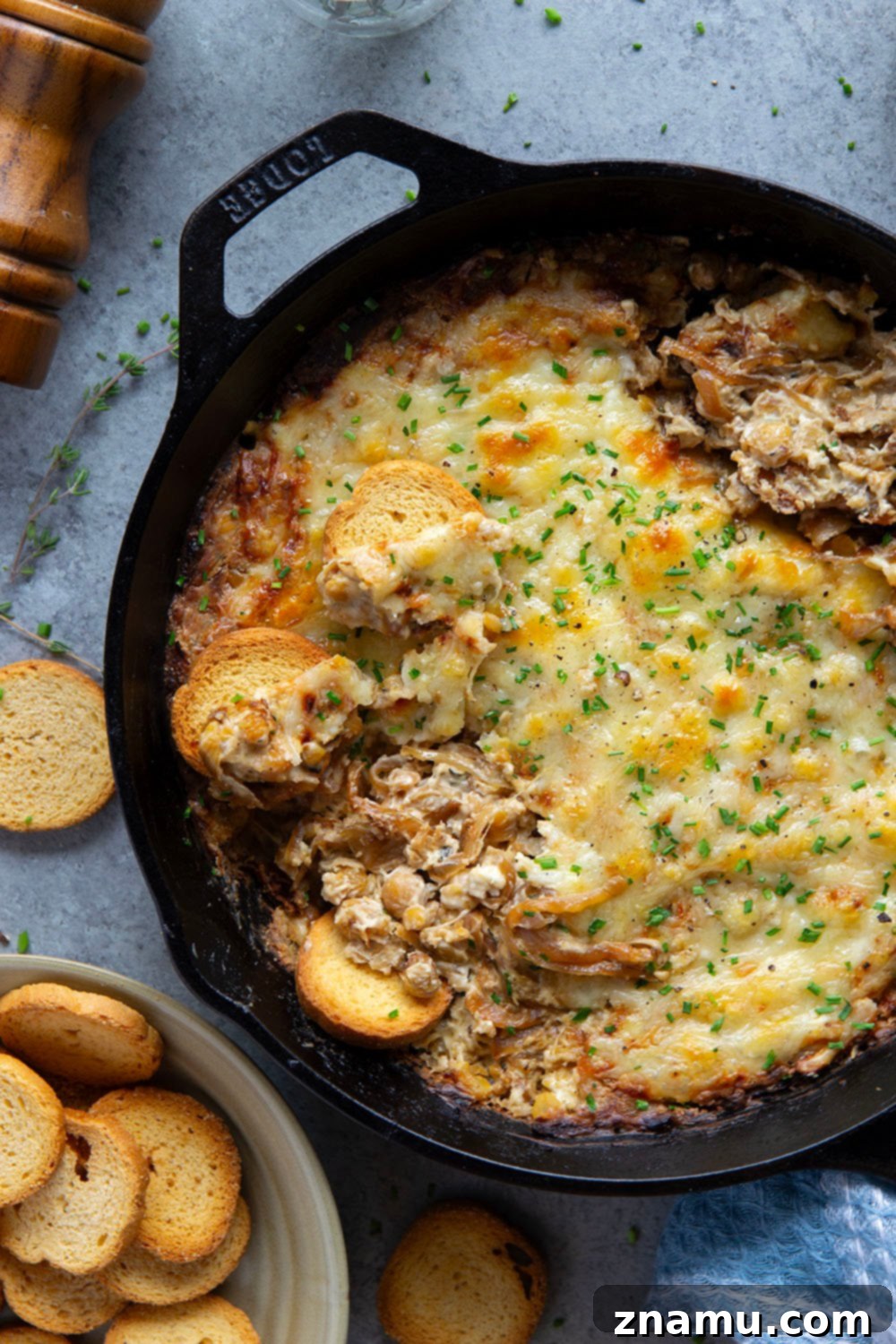 Caramelized Onion and Chickpea Delight 6 Make Ahead Chickpea Dip