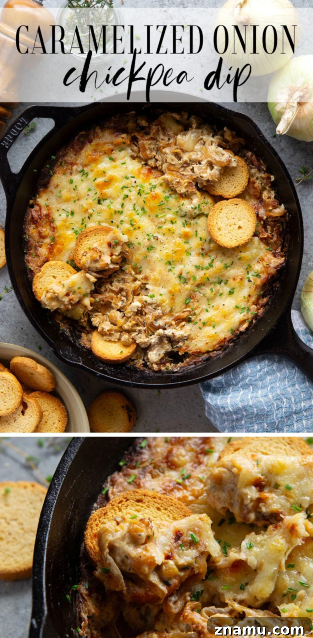 Caramelized Onion and Chickpea Delight 7 Cheesy Chickpea Dip with Crostini