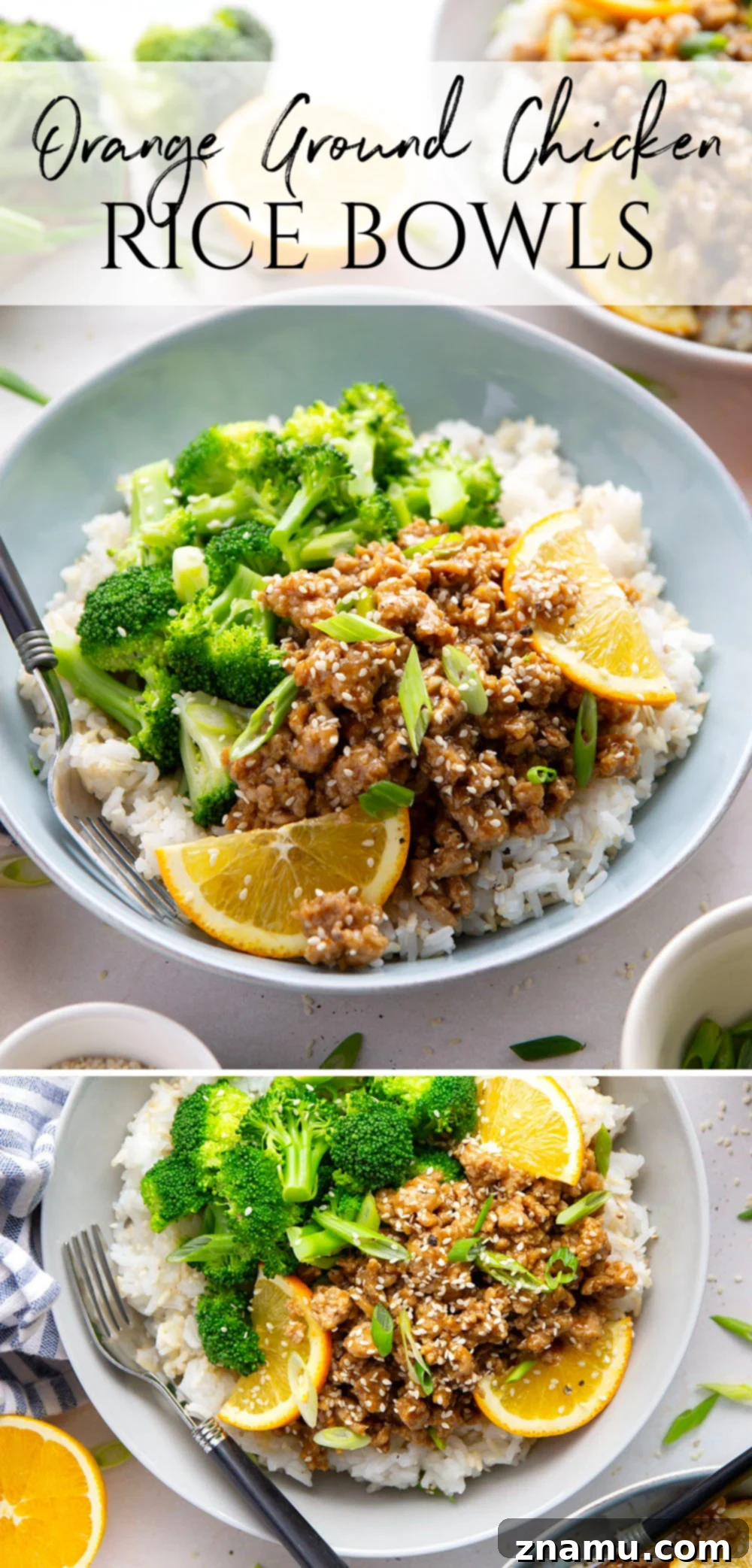 Orange-Kissed Chicken & Rice Bowls 7 Finished Orange Ground Chicken Rice Bowls ready to eat.