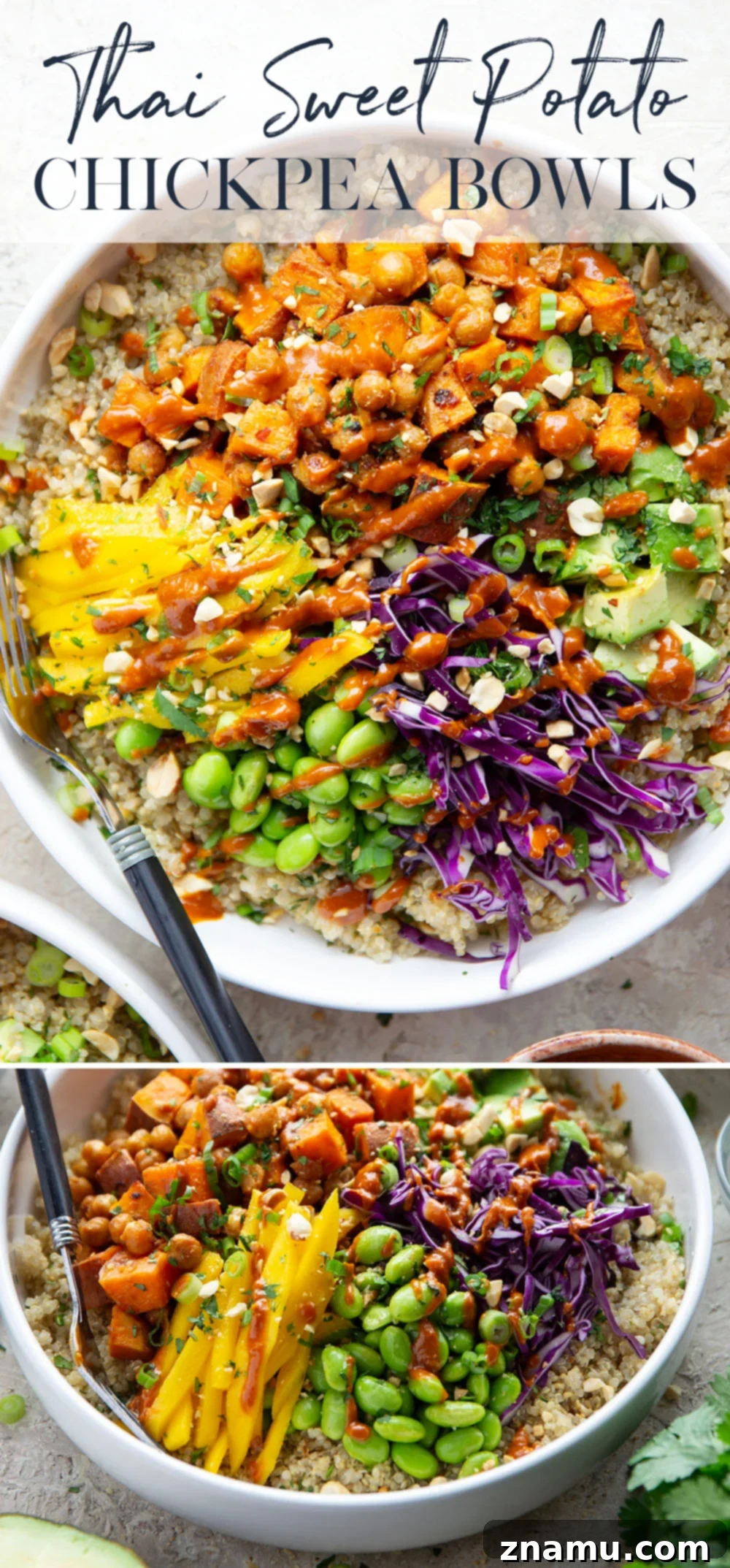Finished Thai Sweet Potato Chickpea Bowl with Thai peanut sauce.