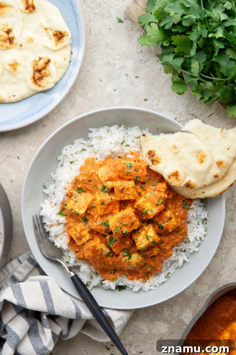 Tofu Tikka Masala Bliss 4 Tofu Tikka Masala served with rice and cilantro