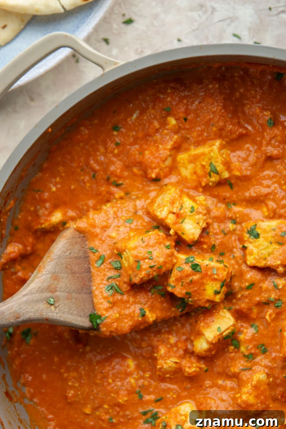 Tofu Tikka Masala Bliss 6 Tofu Tikka Masala with rice, naan and cilantro