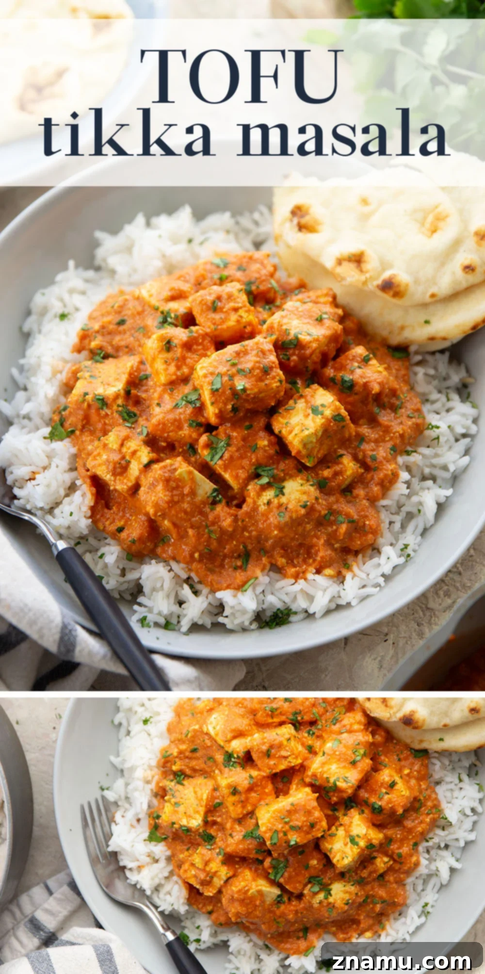 Tofu Tikka Masala Bliss 7 Close-up shot of Tofu Tikka Masala plated with rice and naan