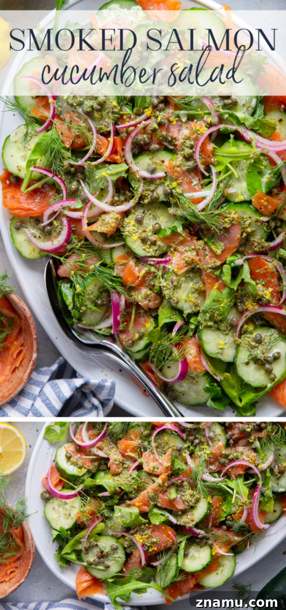 Overhead view of a beautifully plated Smoked Salmon Cucumber Salad.