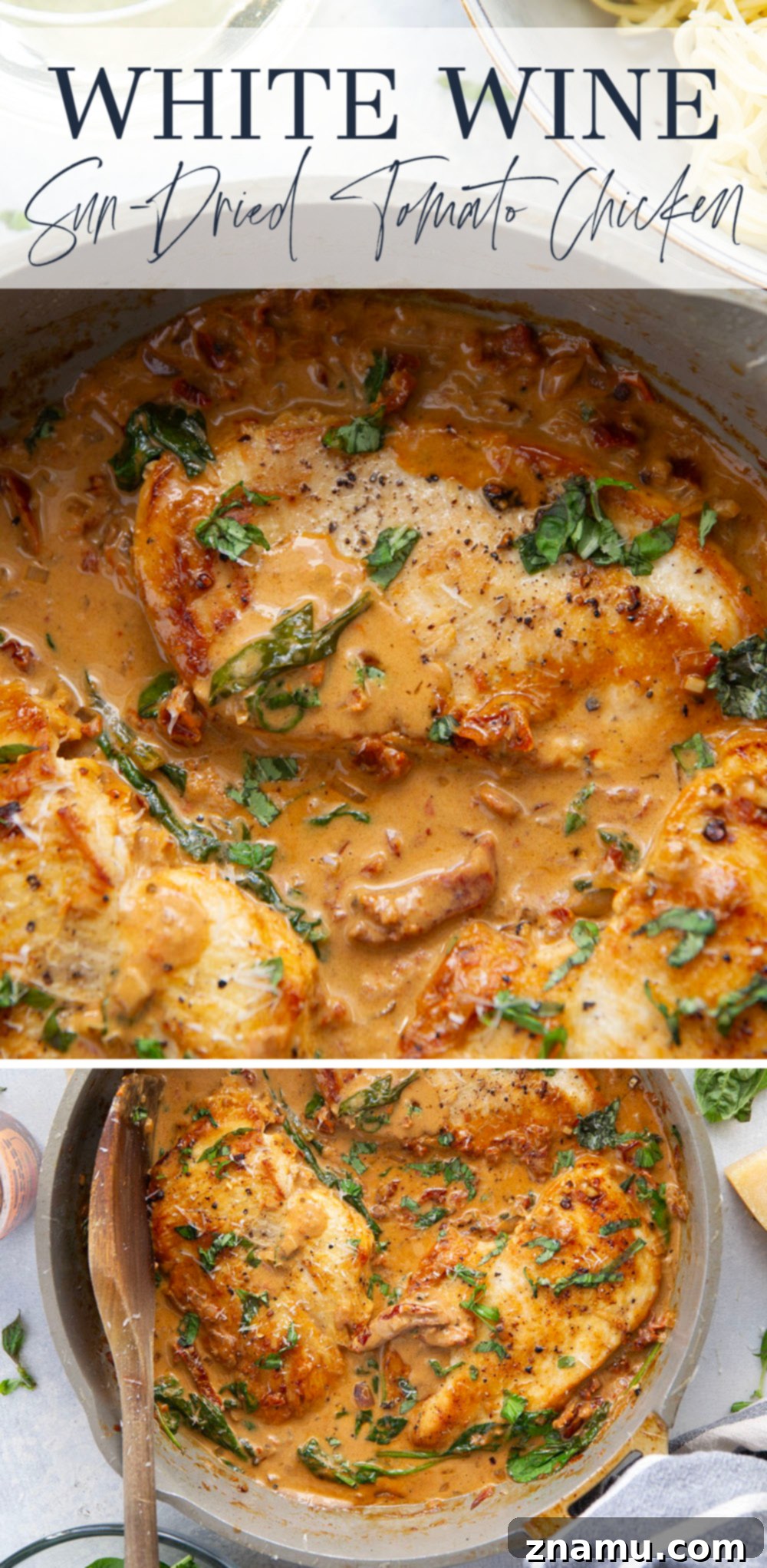 White Wine and Sun-Dried Tomato Chicken 7 Close up of Creamy Chicken Dish