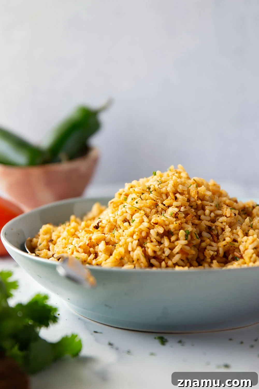 Instant Pot Mexican rice served
