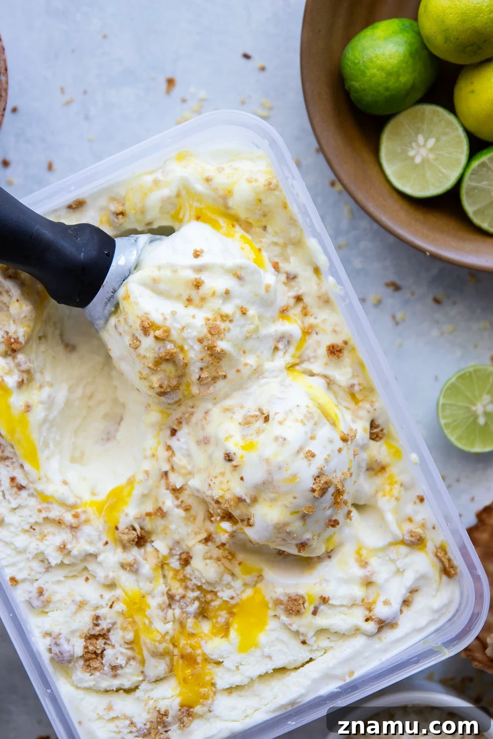 Coconut Ice Cream with Key Lime Pie Swirl 6 Spoonful of coconut key lime pie ice cream with toasted coconut on top