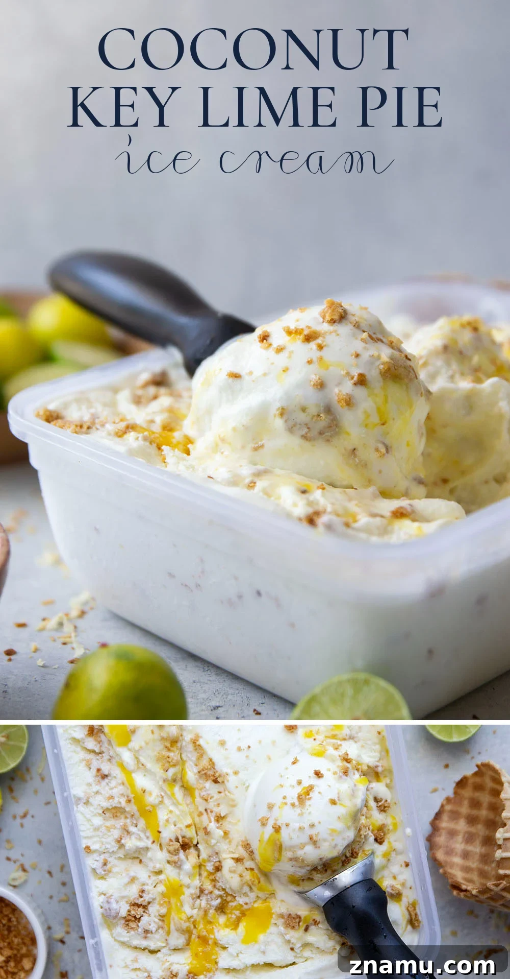 Coconut Ice Cream with Key Lime Pie Swirl 7 Final shot of coconut key lime pie ice cream in a bowl with graham cracker pieces