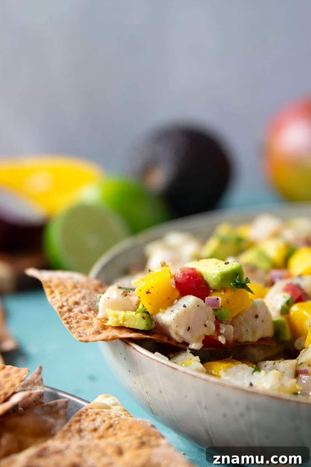 Mango Ceviche with Crispy Wonton Chips 5 Halibut cubes, mango, avocado for ceviche