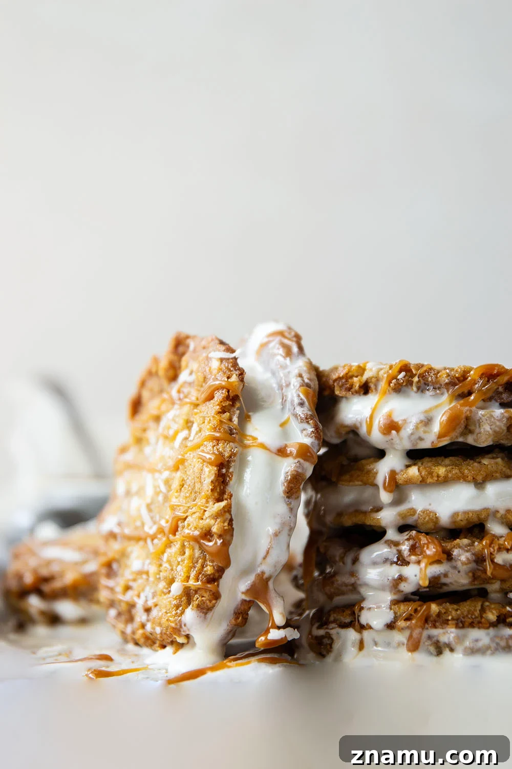 Salted Caramel Coconut Ice Cream Sandwiches 5 A base of crispy coconut cookies, homemade salted caramel, and a filling of creamy vanilla ice cream take these caramel ice cream sandwiches completely over the top!